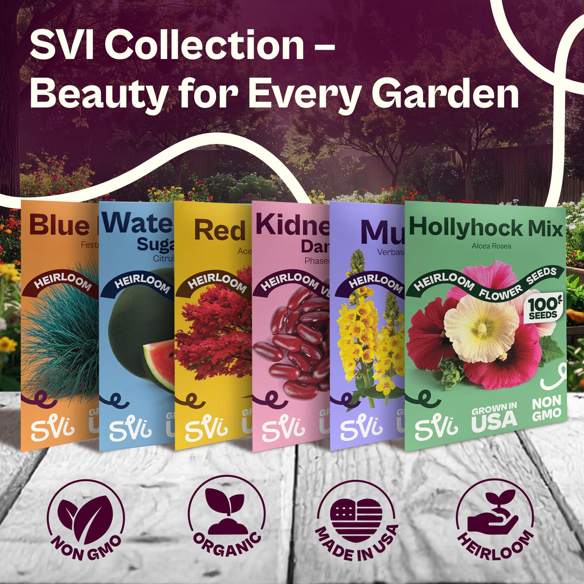 SVI 350 70-day maturity supports dependable summer harvests