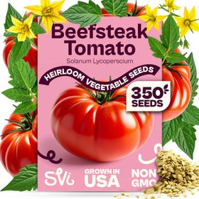 SVI 350 beefsteak tomato seeds pack for high-yield slicing