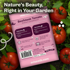 SVI 350 determinate beefsteak tomatoes promote a compact, single-harvest garden