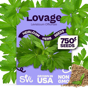 SVI 750 Lovage seeds pack ready for home gardening and fresh flavor