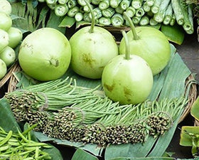 SVI calabash round seeds pack for easy home planting and harvest