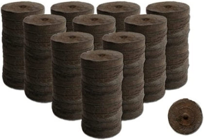 SVI Jiffy 30mm peat pellets in a seed-starting tray for easy indoor germination
