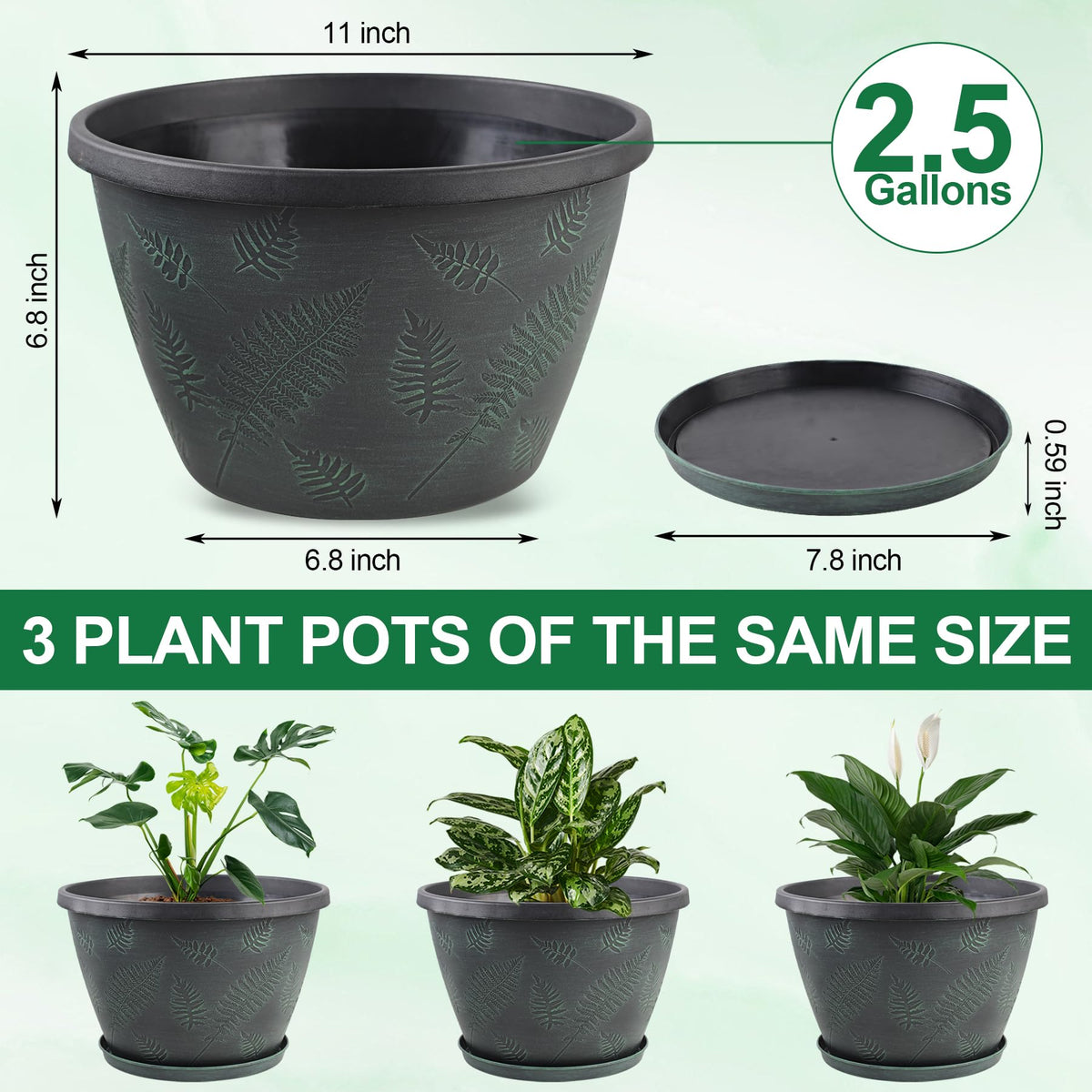 Svxtoby drainage-hole pot with removable saucer supports healthy root airflow
