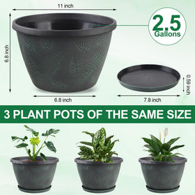 Svxtoby drainage-hole pot with removable saucer supports healthy root airflow