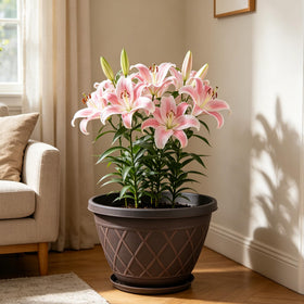 Svxtoby planter with drainage holes and saucer ensuring healthy roots and easy water management.