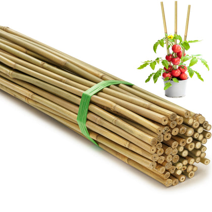SWANGSA bamboo stakes 75-pack ready for sturdy plant support