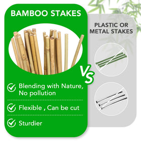 SWANGSA plant-support stakes ideal for tomatoes and beans in gardens
