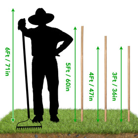 SWANGSA durable fumigated bamboo stakes ensure reusable garden support