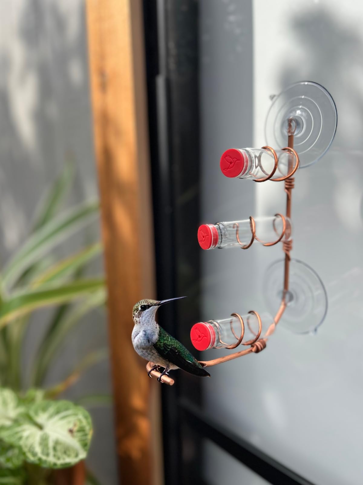 SWEET FEEDERS bee-proof tilt helps deter bees from nectar.
