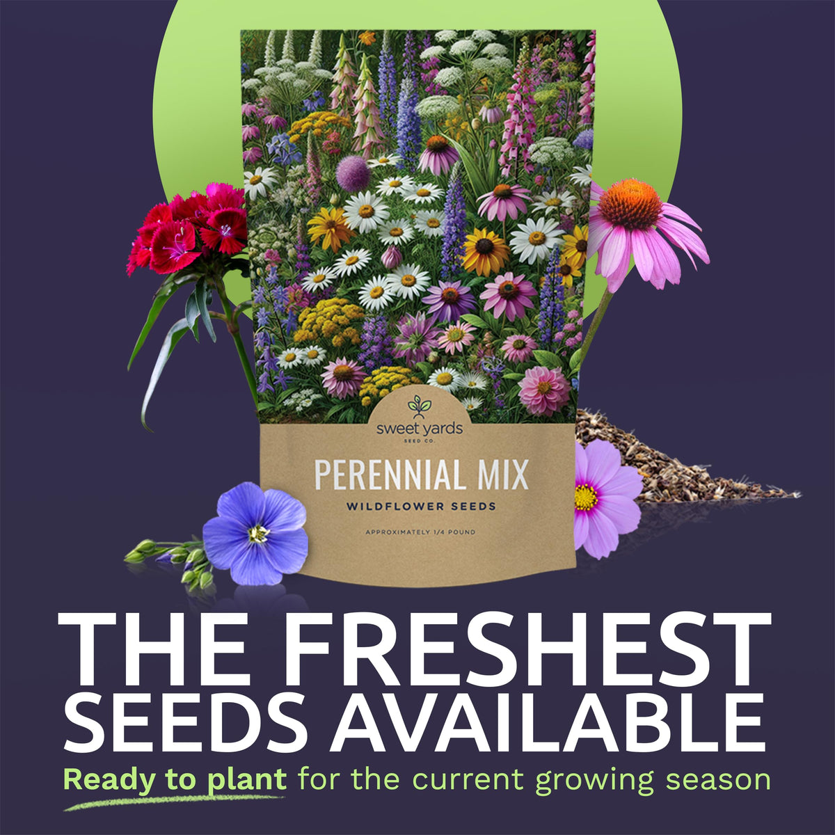 Sweet Yards 16-varieties wildflower seeds creating diverse color for pollinator-friendly plantings.