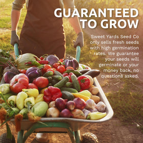 Sweet Yards 2026 seeds pack promises fresh germination prospects
