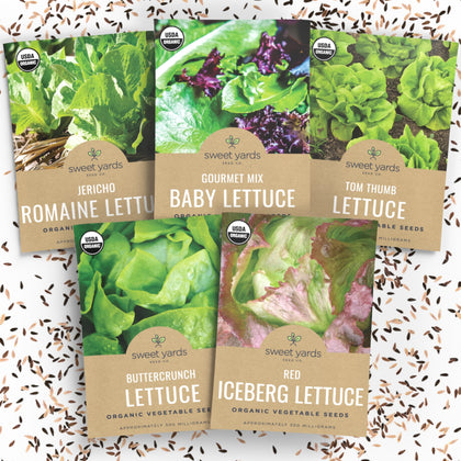 Sweet Yards Buttercrunch seed pack for crisp garden salads