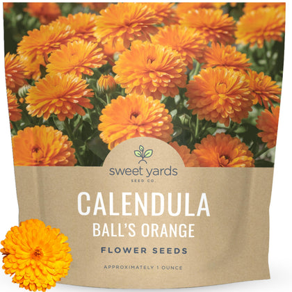Sweet Yards Calendula Balls Orange bloom close-up for pollinator-friendly gardens