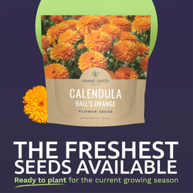Sweet Yards Calendula Balls Orange seed packet front with numerous seeds for planting