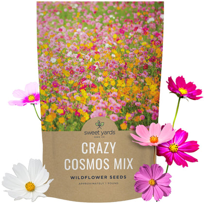 Sweet Yards cosmos seeds wildflower mix in a 1lb bag for bloom-ready beds