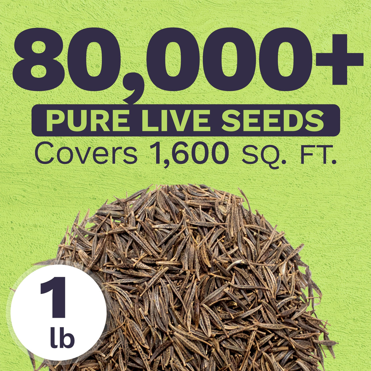 Sweet Yards fresh seeds with high germination promise