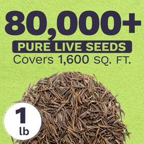 Sweet Yards fresh seeds with high germination promise