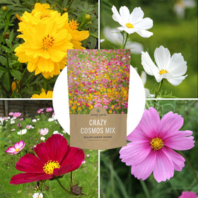 Sweet Yards gift-pack packaging designed for gardeners