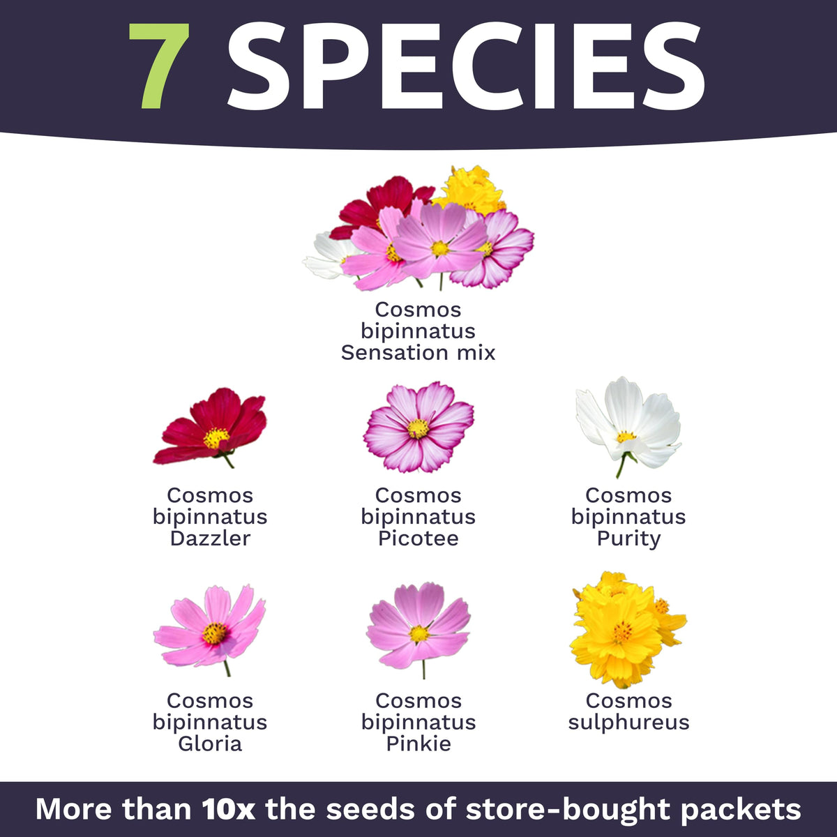 Sweet Yards premium packaging with planting guide