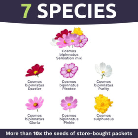 Sweet Yards premium packaging with planting guide