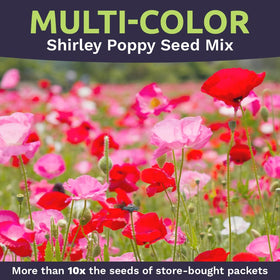 SWEET YARDS grows across large areas; covers up to 2,000 sq ft per bag.