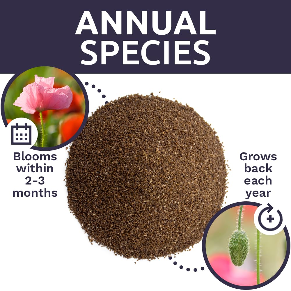 SWEET YARDS open-pollinated seeds encourage natural reseeding and diverse pollinator-friendly gardens.