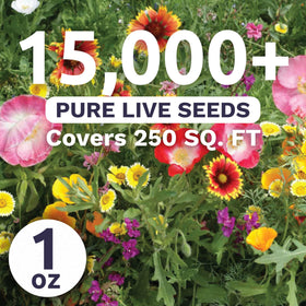 Sweet Yards drought-tolerant wildflowers flourish with minimal water.