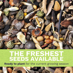 Sweet Yards packaging includes planting instructions for easy sowing and storage.