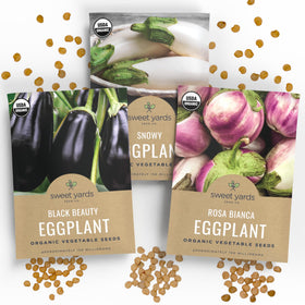 Sweet Yards Black Beauty seed-pack for indoor sowing in home gardens