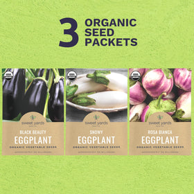 Sweet Yards Rosa Bianca seed-pack ideal for vibrant outdoor containers