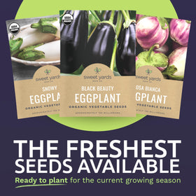Sweet Yards Snowy seed-pack showcasing white eggplant for bright harvests