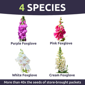 Sweet Yards fresh seeds with high germination support reliable plantings.