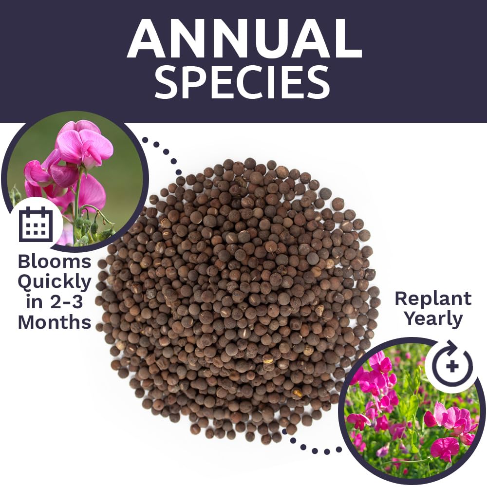 Sweet Yards fresh-seeds-germination-rate implies strong germination potential