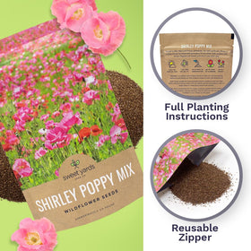 SWEET YARDS freshest seeds designed for high germination and easy gardening outcomes.