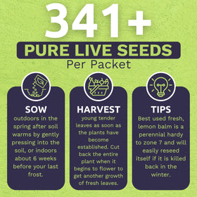 Sweet Yards Lemon Balm seed instructions panel for simple sowing at home