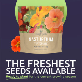 Sweet Yards Nasturtium Tip Top Mix seeds ready for planting.