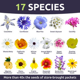 Sweet Yards native blooms attract pollinators and enhance rugged borders with color.