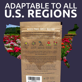 Sweet Yards open-pollinated seeds support sustainable home gardening.