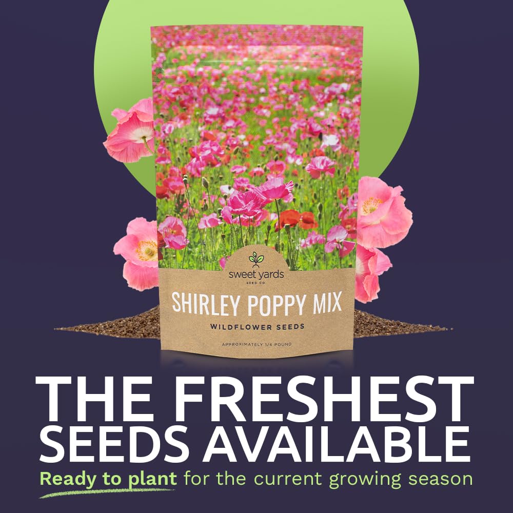 SWEET YARDS open-pollinated, non-GMO poppy seeds ideal for naturalized borders.