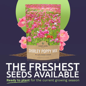 SWEET YARDS open-pollinated, non-GMO poppy seeds ideal for naturalized borders.