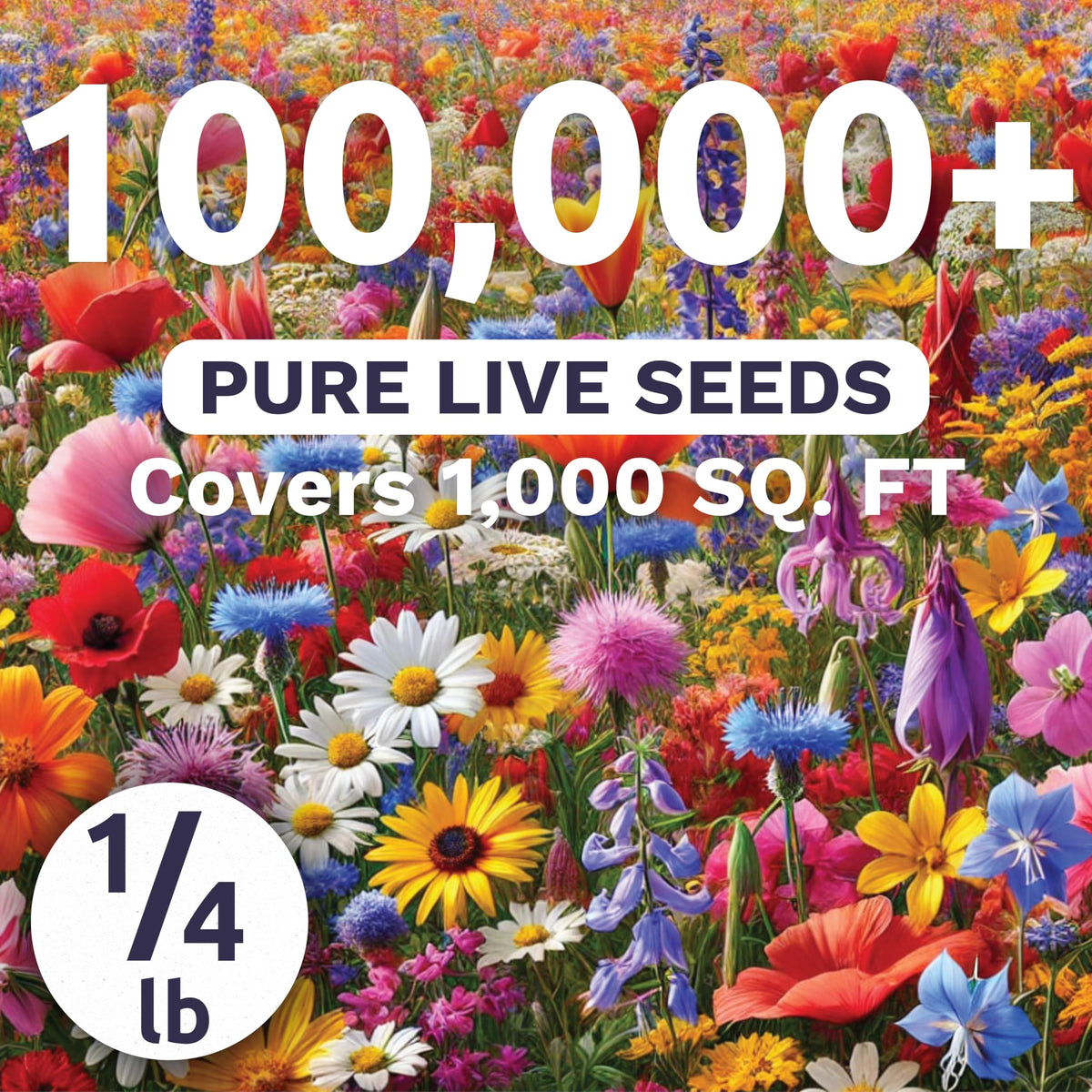 Sweet Yards mix features over 100,000 live seeds for rapid wildflower coverage.