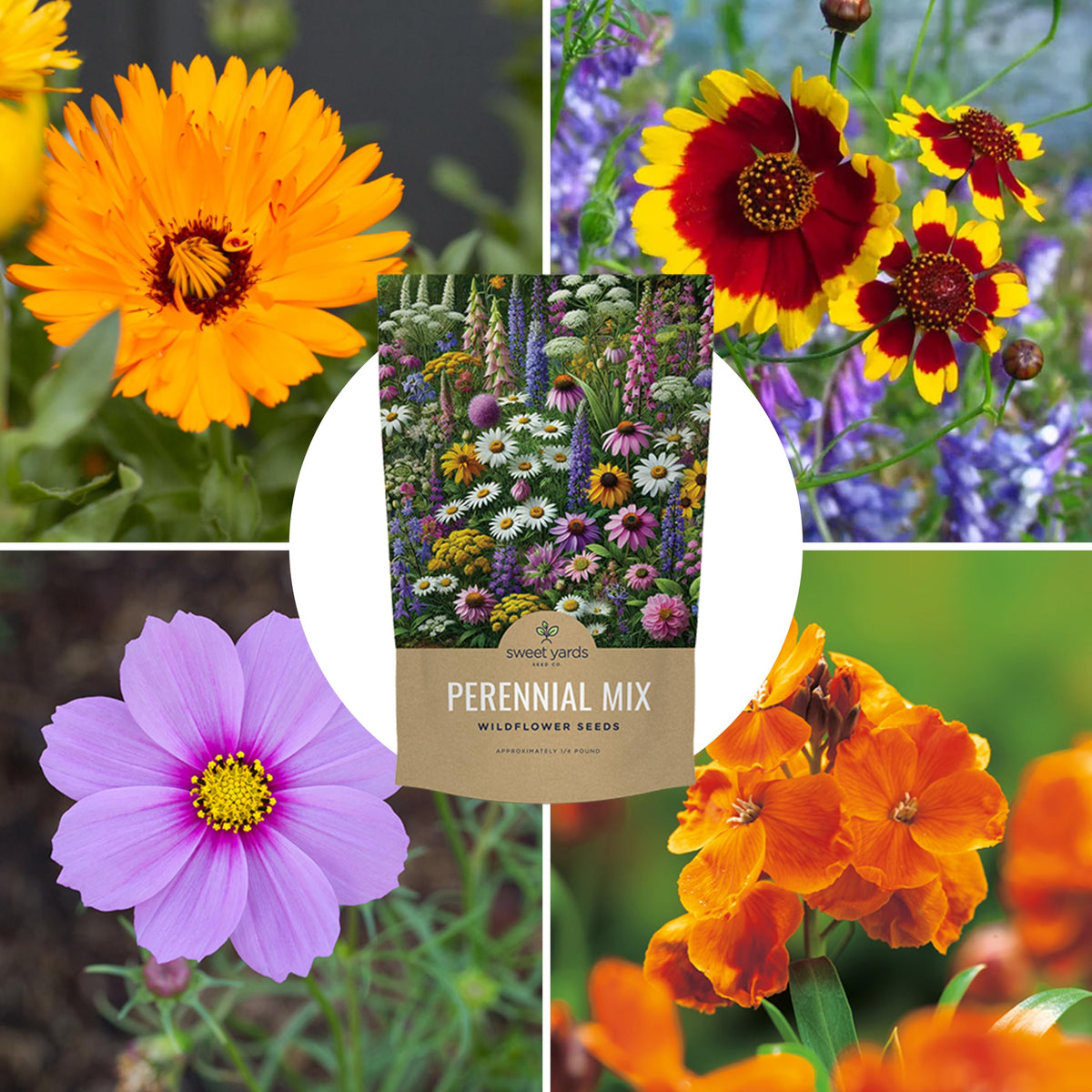Sweet Yards over 60,000 seeds offer robust germination potential.