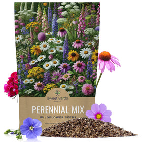 Sweet Yards quarter-pound bag of perennial wildflower seeds for a vibrant garden.