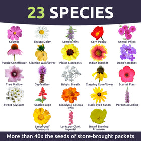 Pollinator-friendly wildflowers from Sweet Yards attract bees and butterflies
