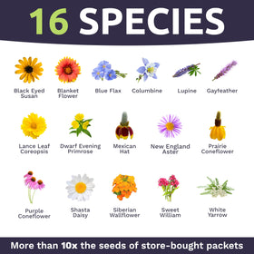 Sweet Yards premium packaging keeps seeds fresh and makes a thoughtful gift.