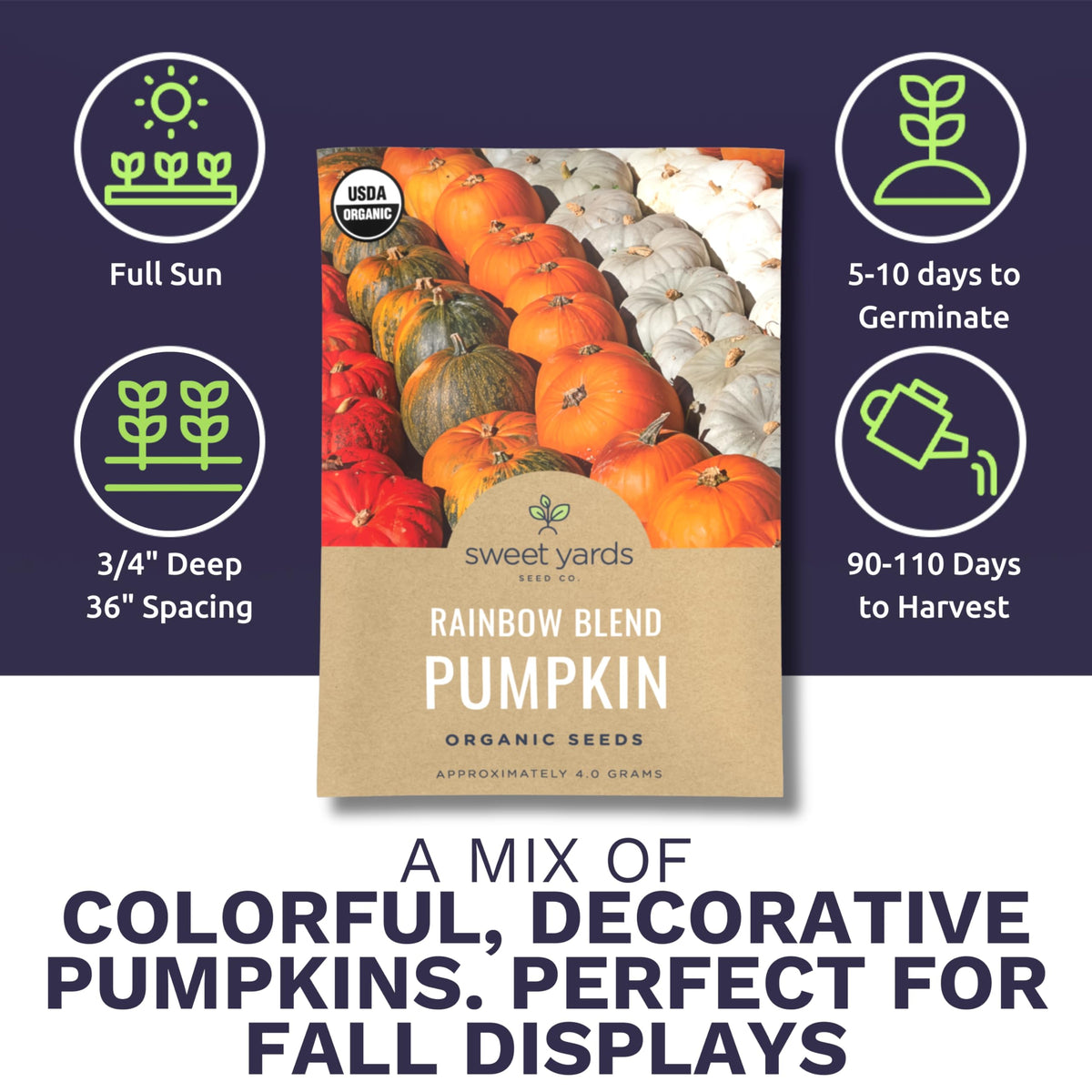 Sweet Yards Rainbow Blend pumpkin seeds back packaging showing planting instructions.