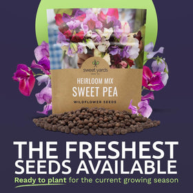 Sweet Yards royal-family-mix-blooms shown for fragrant pinks, purples, and whites
