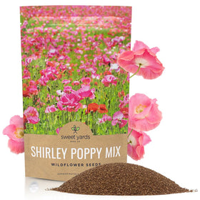 SWEET YARDS Shirley Poppy seeds in a bulk quarter-pound bag for easy garden sowing.