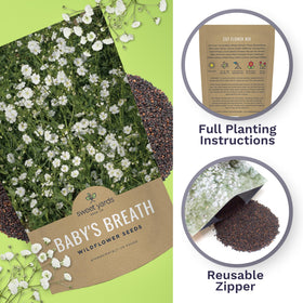 Sweet Yards Bulk seeds for seed bombs and DIY packets using Showy Baby's Breath.
