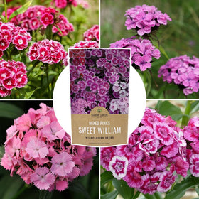 Sweet Yards mixed pink blooms inspire seasonal bouquets.
